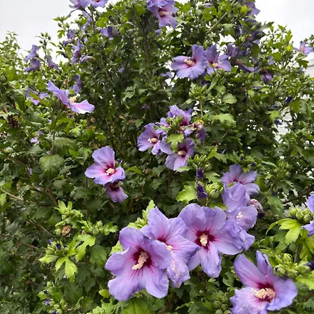 Apartment Landwehrblick