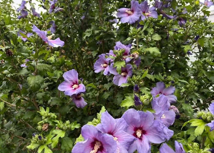 アパート Landwehrblick